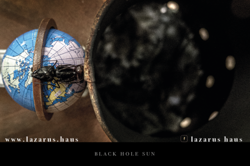 black hole sun